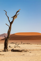 Deadvlei L