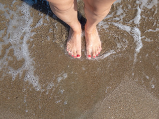 female feet (seashore) on wet sand background