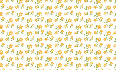 Yellow Flower On White Background