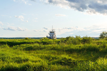 Fototapeta na wymiar tugboat in the grass sea