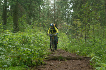 Naklejka premium bicycle tourist climbs a trail in a mountain autumn forest