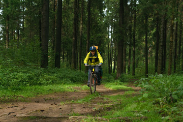 Fototapeta premium bikepacker in the autumn forest