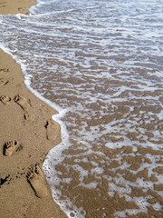Sand background footprints at the seaside