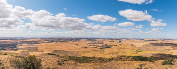 Southwestern Panorama of the Rolling Farmland of the Palouse to the Horizon from the Top of Steptoe...