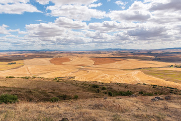 Fototapeta premium Unique Western Landscape of the Rolling Farmland of the Palouse to the Horizon from Steptoe Butte in Washington State