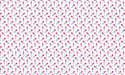 Colorful Flower On White Background