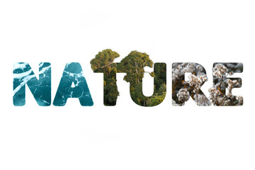 Creative nature word written using water, green forests and flowers . Artistic natural font
