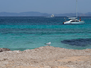 boat on the beach