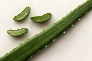 Aloe Vera Leaf