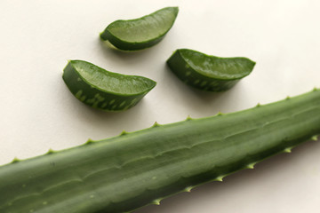 Aloe Vera Leaf