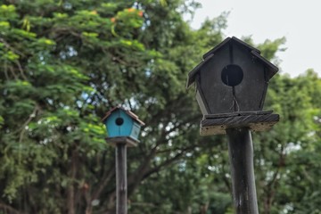 birdhouse in park