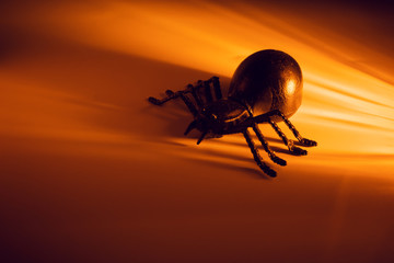 big scary spooky spider black widow with orange mystery lighting in halloween holiday season...