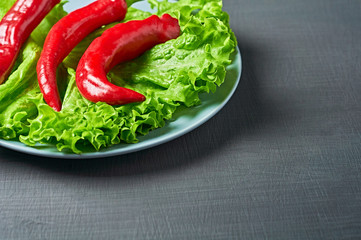Fresh green fluffy leaves of salad lettuce, red chilli pepper, round plate lies on scratched dark concrete. Vegetarian, dieting, healthy, low calorie food. Space for text