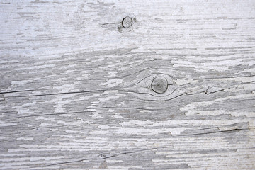 Old wooden surface with knots and cracks. Texture. Gray background. Close-up. Copy space.
