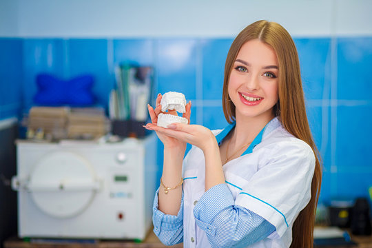 Health care concept.Dental prosthetics. Beautiful girl in a white coat holding dental gypsum models. Image of a woman doctor. Doctor holds a jaw cast