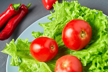 Fresh green fluffy leaves of salad lettuce, red pepper, tomato, plate lies on scratched dark concrete. Vegetarian, dieting, healthy, low calorie food