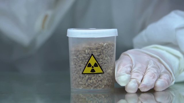 Hand closing container with radioactive grain, studying deactivation methods