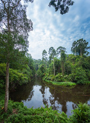 Khao Yai National Park is the largest rainforest in Thailand. There are many waterfalls. .There are various wildlife and plant species. .There are resorts and camping sites for people to relax in.