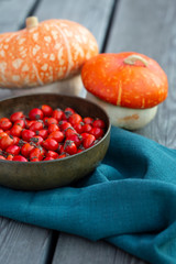 Rosehip in vintage basin  bowl on the old wooden background with pumpkins and green fabric. Autumn arrangement of fall harvest. Selective focus, vertical.