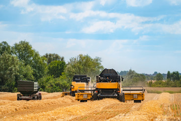 Grain harvesting equipment in the field. Agricultural sector
