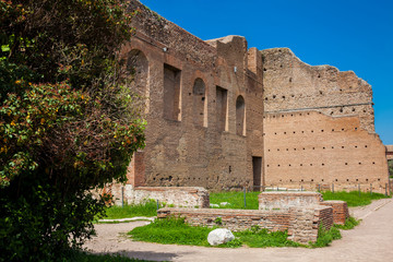 Ancient ruins of the Domus Augustana on Palatine Hill in Rome