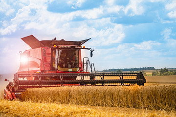 Combine harvester working on a wheat field. Agricultural sector. Wheat Harvesting