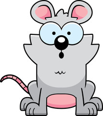 Surprised Little Mouse