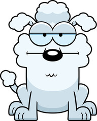 Calm Little Poodle