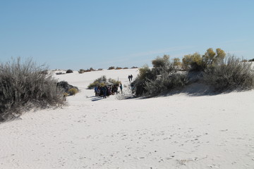 White Sands National Monument Vistas, Set 1