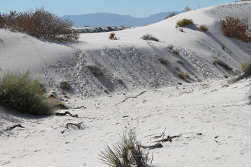 White Sands National Monument Vistas, Set 1