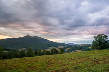 Połonina Caryńska Bieszczady, 