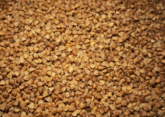 Buckwheat background