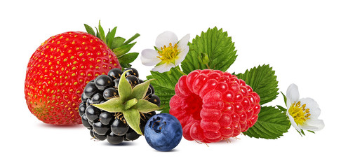 collection of fresh berries isolated on white background