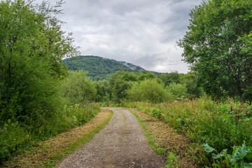 Fototapeta na wymiar Bieszczady, leśna droga, Wołosate