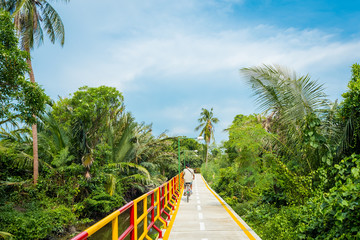 Cycling in Bang Krachao, known as the Green Lung of Bangkok. A young man cycles along the pathway surrounded by lush tropical vegetation.