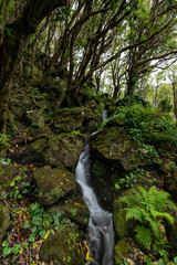 Beautiful landscape stream waterfall through the forest walking up to the Po&ccedil;o Ribeira do Ferreiro waterfalls and Lagoa dos Patos at Faj&atilde; Grande