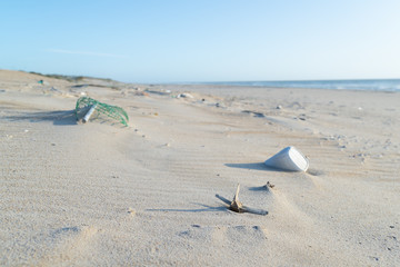 Fototapeta na wymiar Plastic garbage and a dolphin bone on a wild beach. Enviromental disaster.