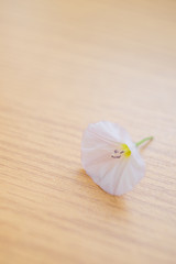 white tender flower on the wooden table, soft selective focus