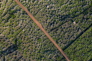 Aerial image showing typical vineyard culture (viticulture) landscape of Pico Island at Criação...