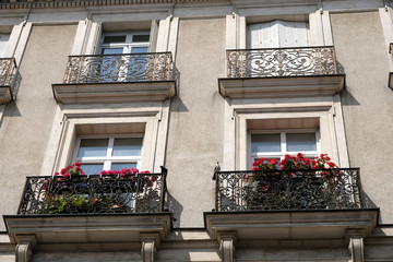 Fototapeta na wymiar fenêtres fleuries