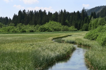 Fototapeta na wymiar the upper reaches of the Sava Dolinka River in the Julian Alps in Slovenia