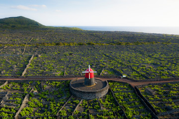 Aerial image showing typical vineyard culture (viticulture) landscape of Pico Island at Criação...