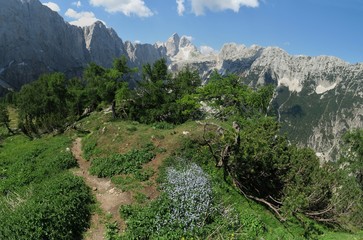 Jalovec peak from Slemenova peak in Julian Alps, Slovenia