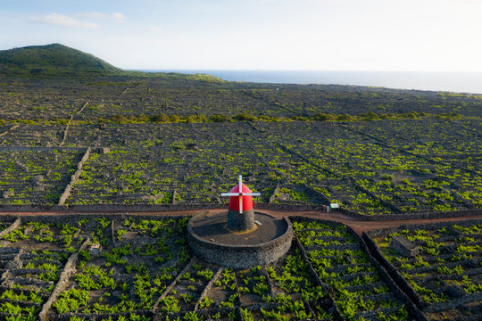 Aerial image showing typical vineyard culture (viticulture) landscape of Pico Island at Cria&ccedil;&atilde;o Velha and Candel&aacute;ria, Madalena.