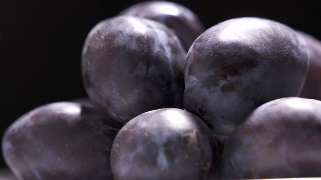 Fresh ripe damson plums on black background rotating close-up.