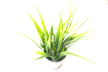 Potted plastic plants and flowers for decorations. Container made of aluminium, plastic, ceramic as well as clay. Plants include Cactus, cacti, beautiful green leaves and red flowers.