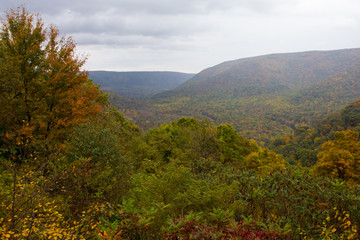 Valley in Autumn, Ohiopyle State Park, Pennsylvania