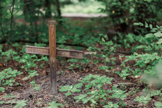 A small grave with a wooden cross. Pet cemetery in the forest