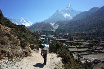 Porter carries heavy load near Pangboche village with view of mount Ama Dablam, Trail to Everest base camp, Sagarmatha national park, Solukhumbu, Nepal