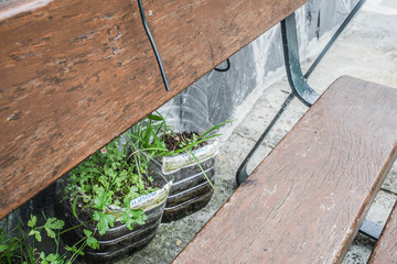 Tiestos de plantas en banco de madera